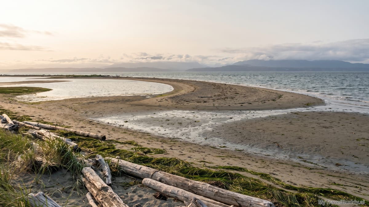 A long Dungeness shoreline curves into the Strait of Juan de Fuca with driftwood, tideflats, and distant mountains.