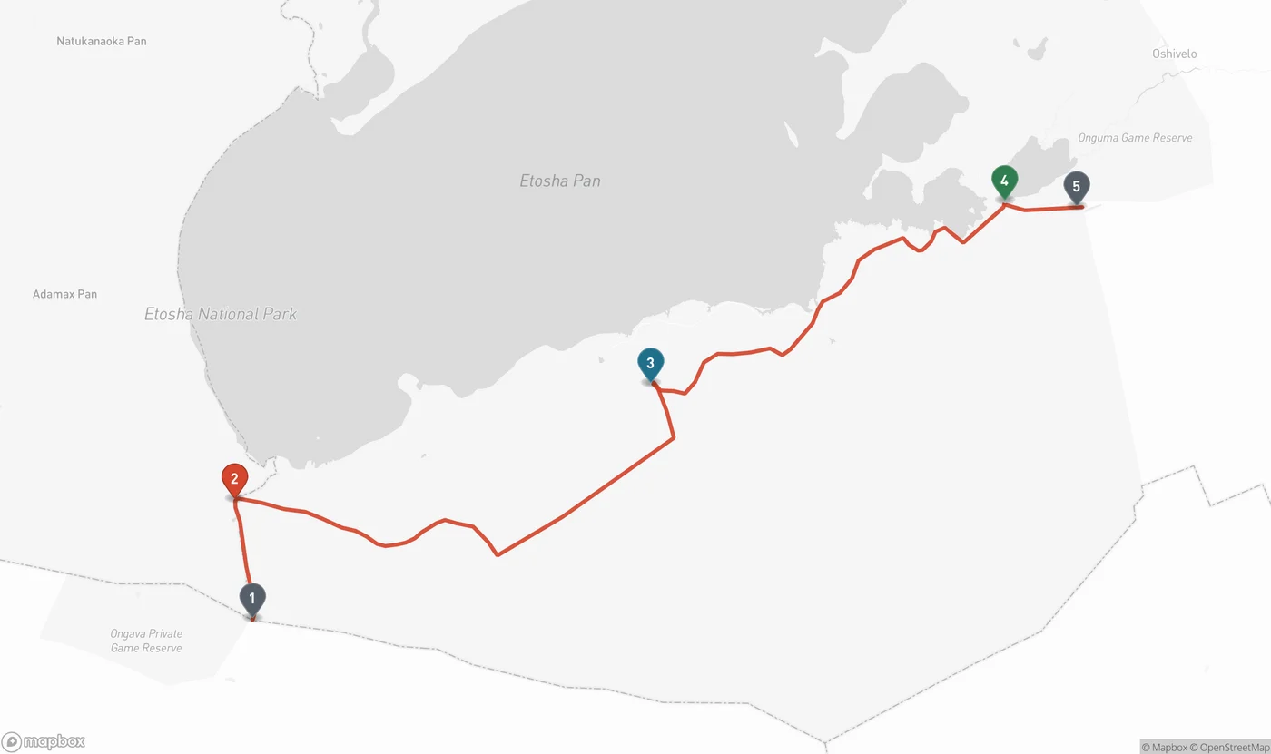 Terrain map of Etosha National Park showing the pale grey Etosha Pan filling the centre and north. A single red road line enters at the Andersson Gate in the south, reaches Okaukuejo, then runs east in a long arc along the entire southern rim of the pan through Halali to Namutoni and out at the Von Lindequist Gate in the east. Five numbered pins mark the gates and camps along this one road.
