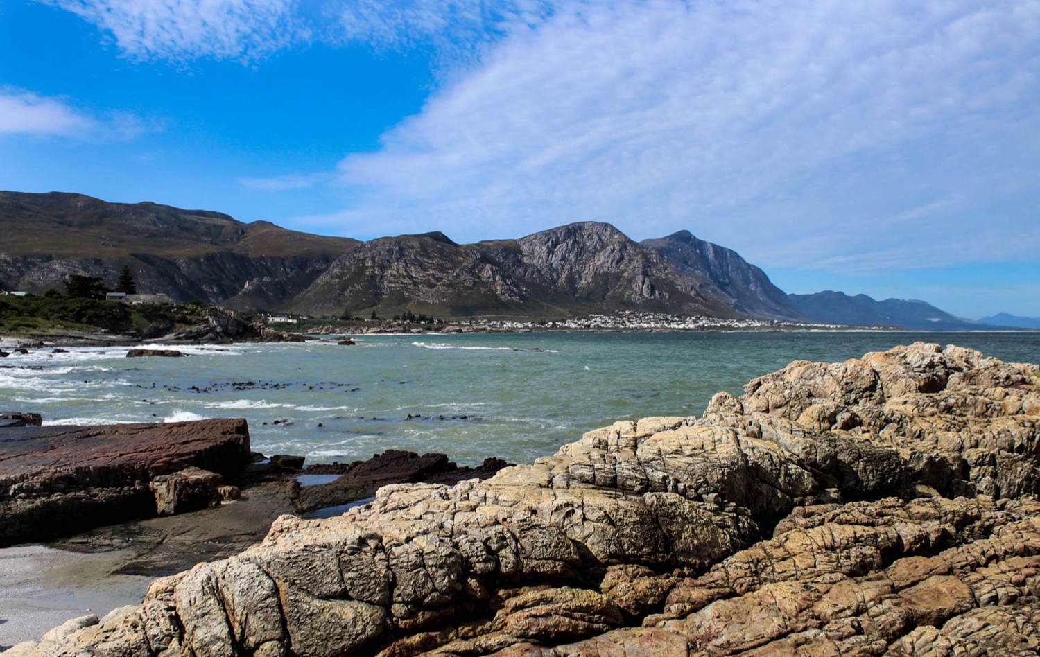 The rocky shoreline east of Hermanus looking back across the bay, pale limestone ledges in the foreground, green water, and the long ridge of the Kleinrivier mountains behind the town.